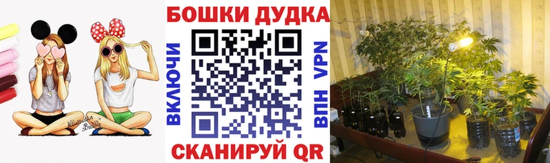 Купить закладки  Слободской  МАРИХУАНА план 